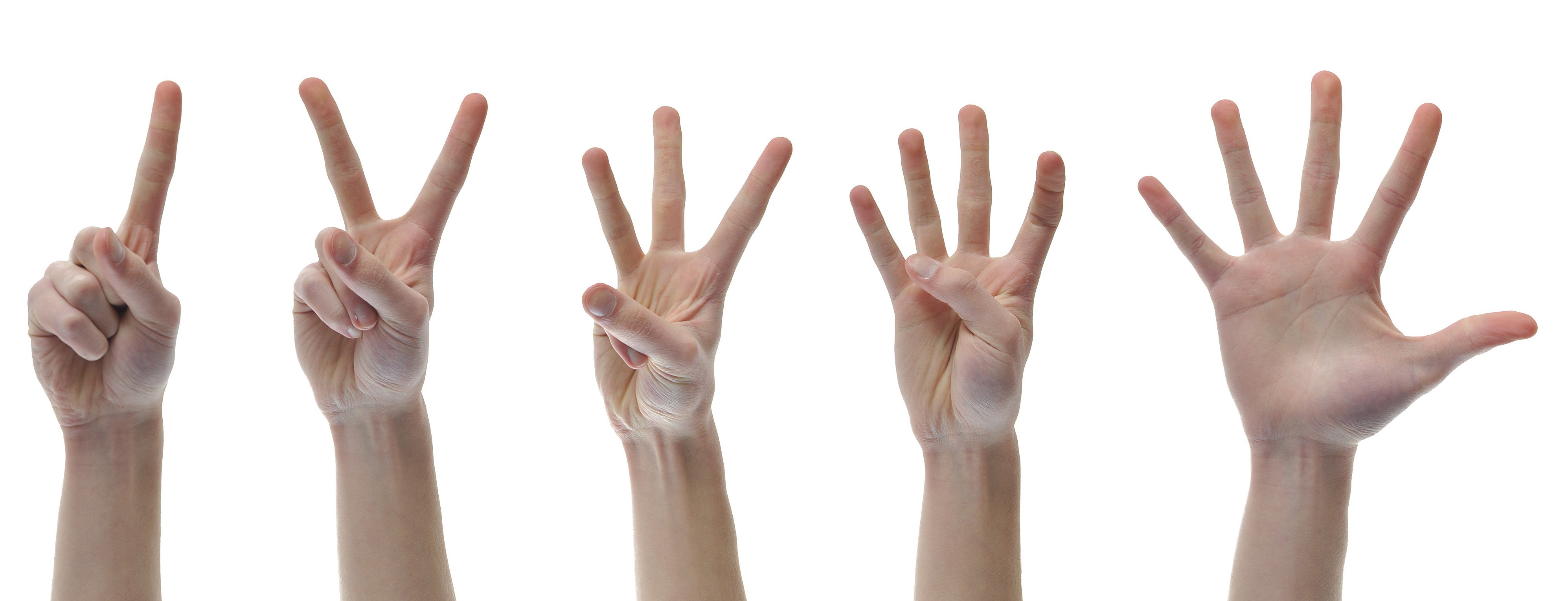 A hand counting the five steps of strategic planning