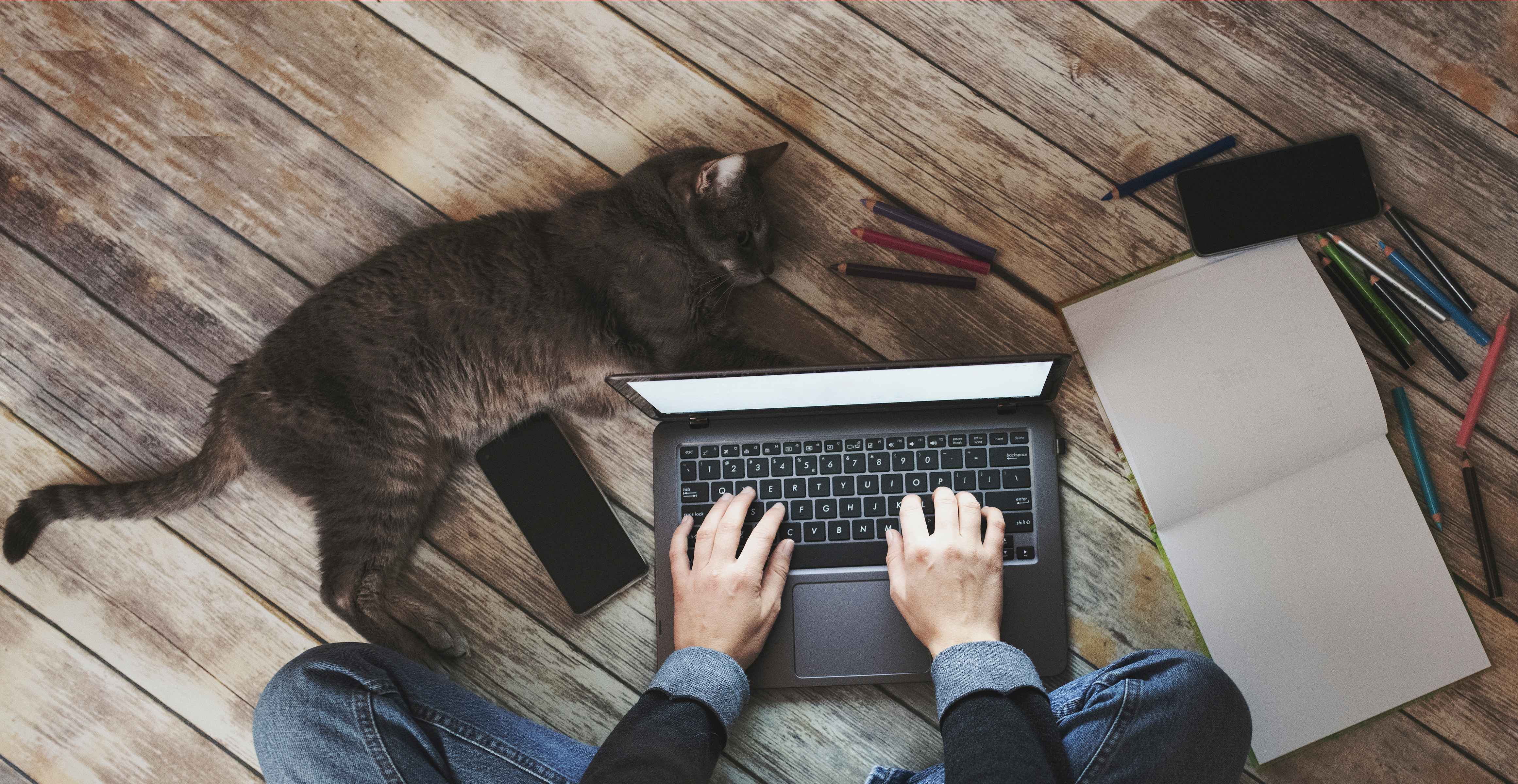 Person typing for nonprofit remote work advice with cat 