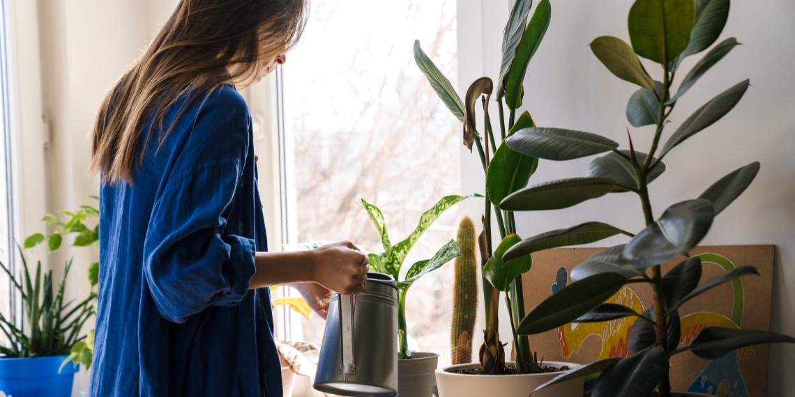 Improving donor stewardship visual of woman watering a plant